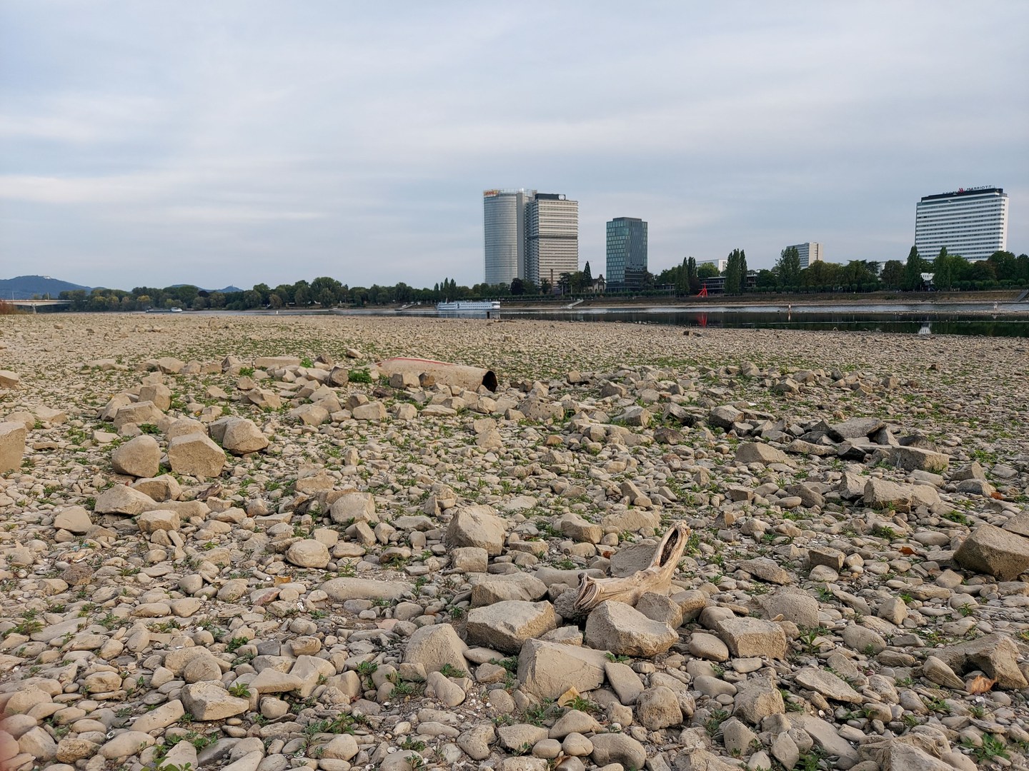 Drought threatening the Rhine - August 2022