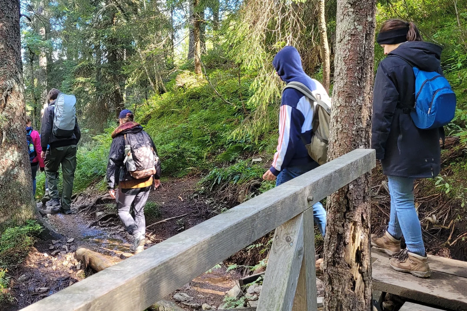 Im Bild sind mehrere Personen mit Rucksäcken zu sehen, die auf einem schmalen Waldweg entalng gehen. Es sind mehrere große Nadelstämme zu sehen. Im Vordergrund ist eine Ecke eines Geländers zu erkennen, die über einen kleinen Gebirgsbach führt.
