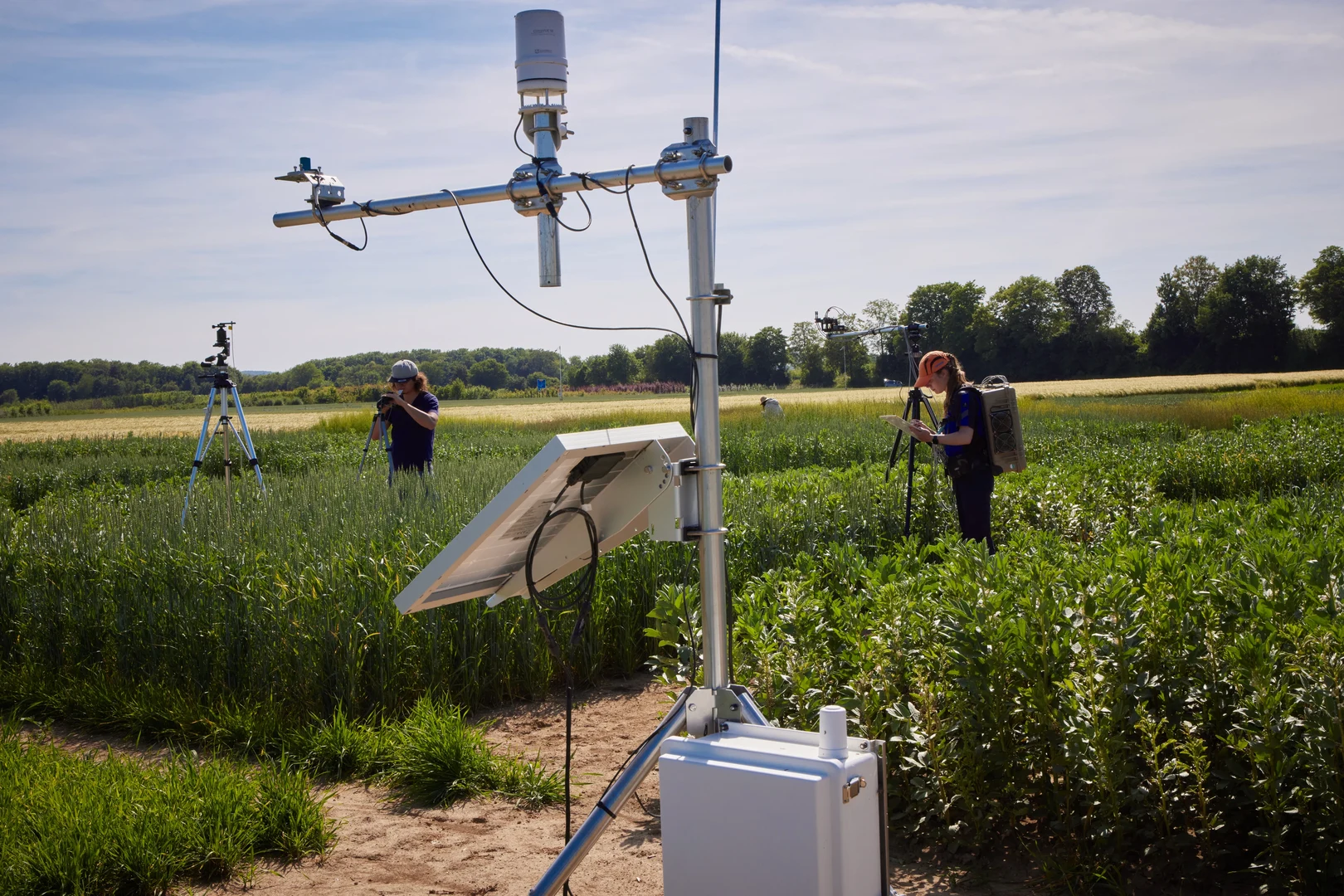 Eine Wissenschaftlerin und ein Wissenschaftler arbeiten hinter einer Glasfassade und mischen Chemikalien mit Großgeräten.