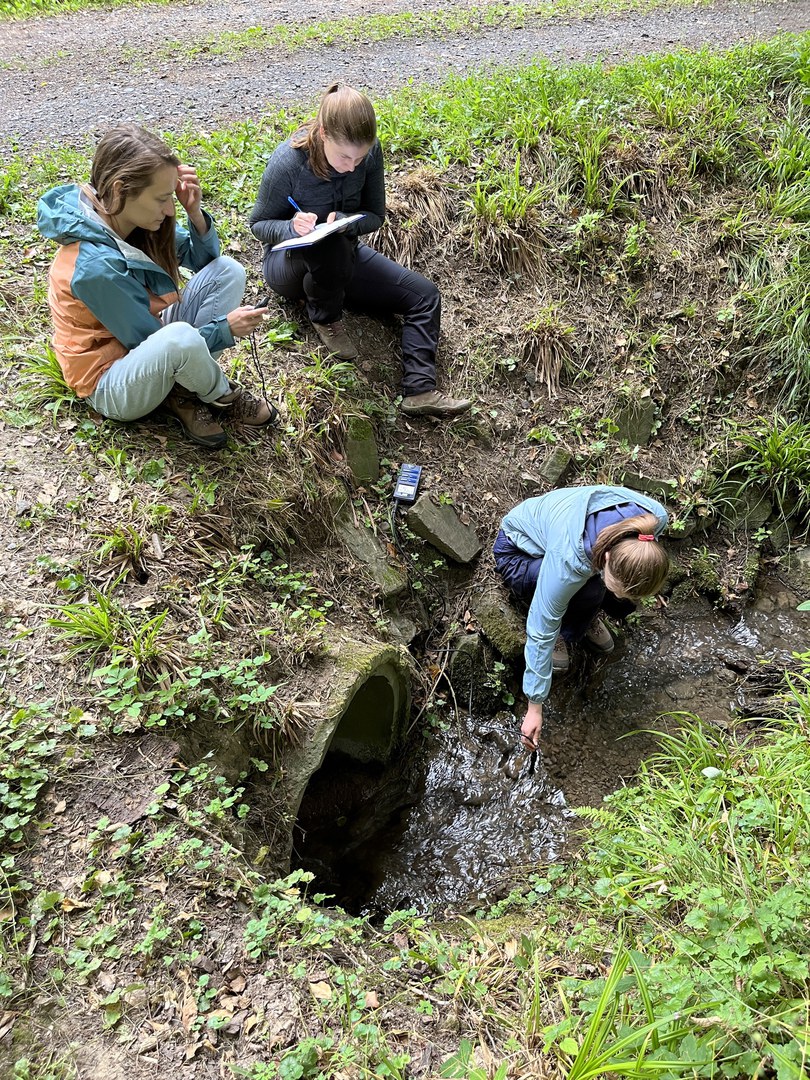 Student intern taking water measurements in the Katzbach Valley