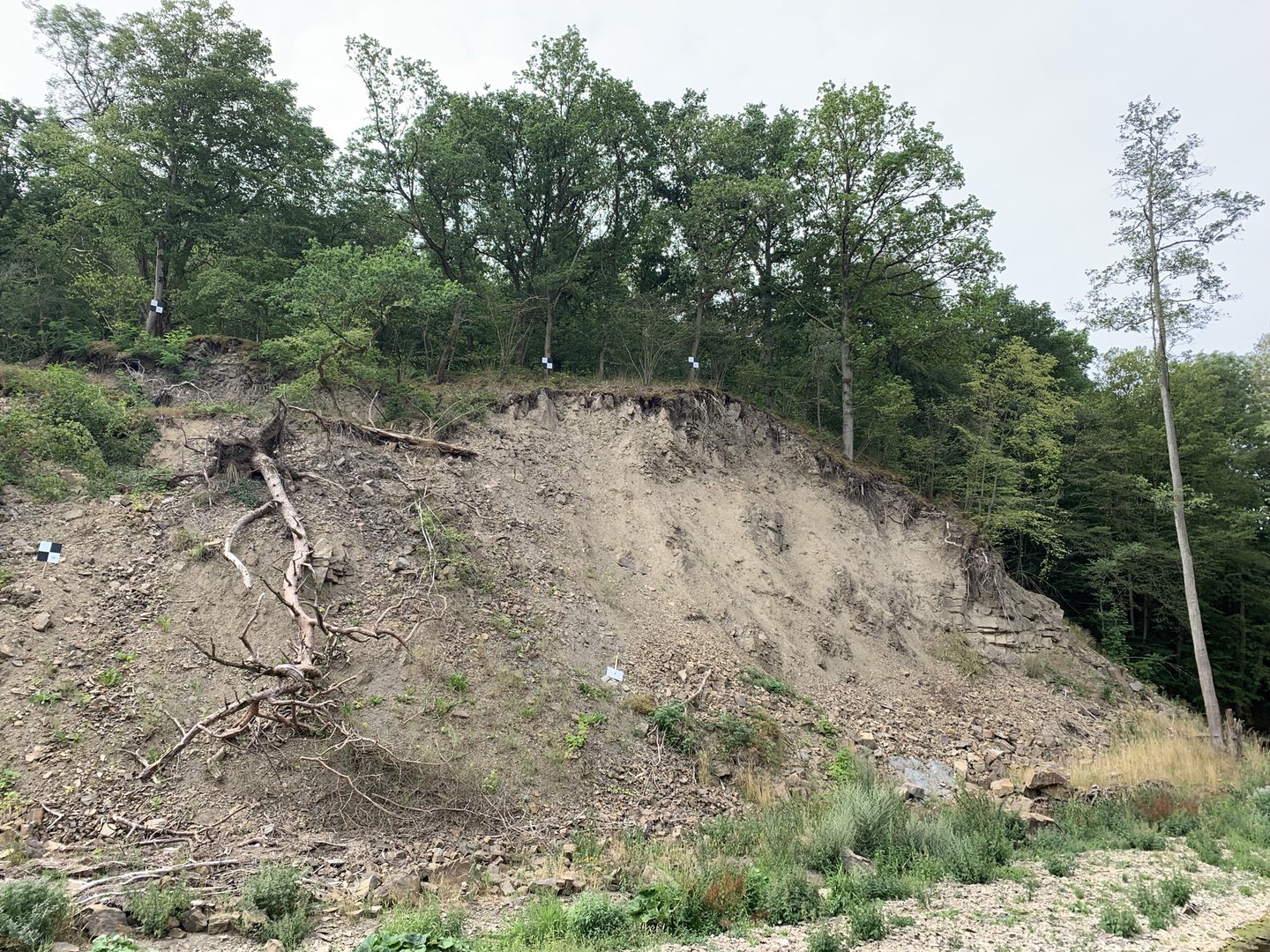 A view of a landslide in the Ahr valley