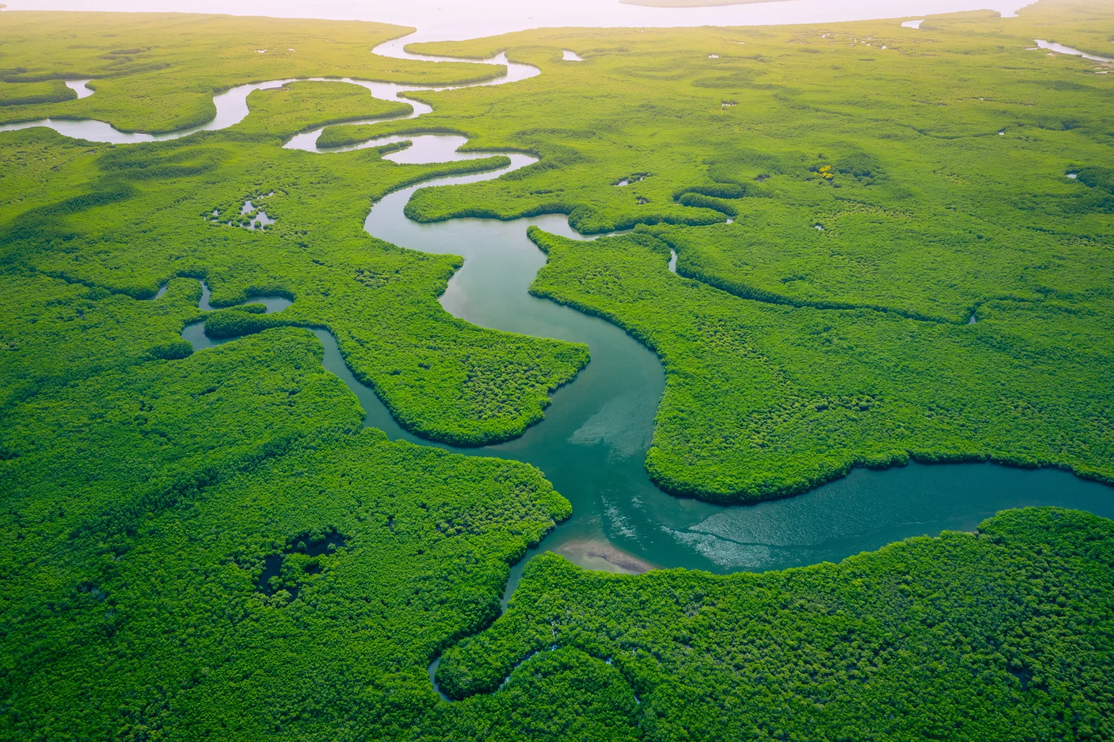 Luftbildaufnahme eines Deltas, das von sehr grünen Wäldern umgeben ist, der Fluss mäandriert
