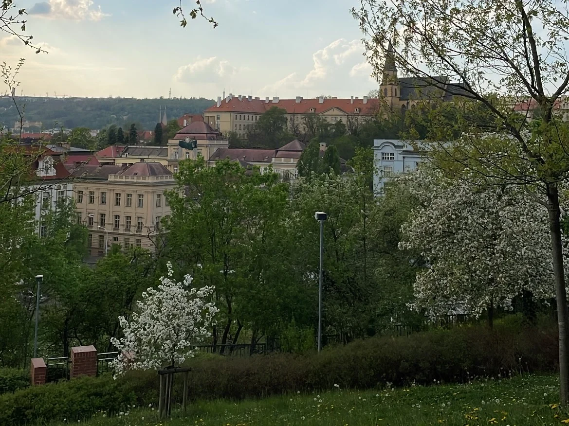 Die Karls-Universität Prag