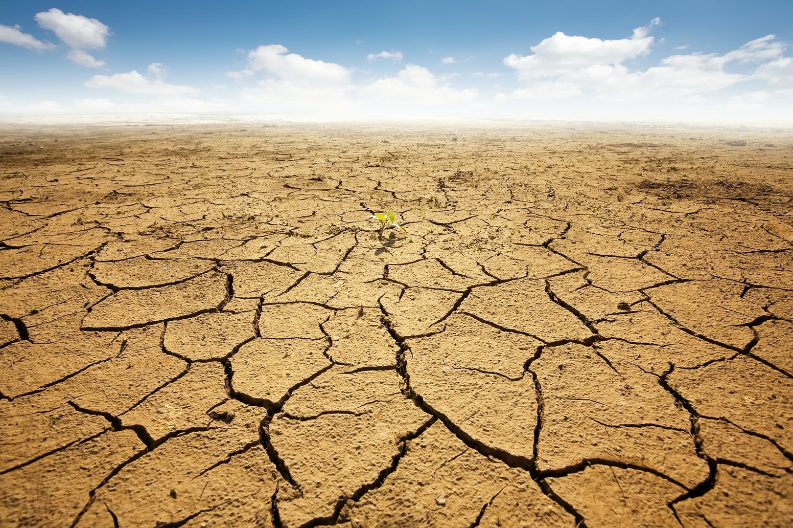 Klimawandel und Dürren