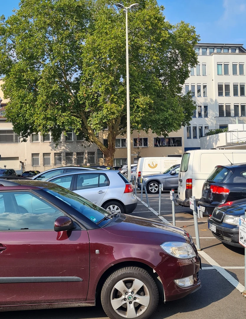 Der Marthashof im Bonner Zentrum